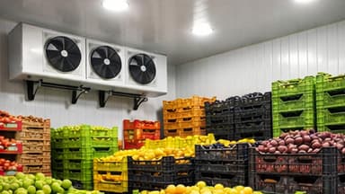 سردخانه میوه